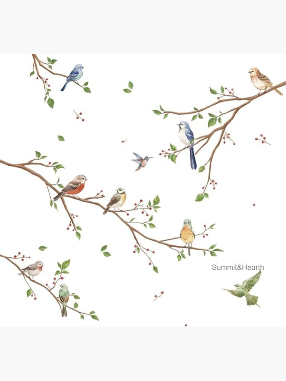 Large Watercolor Bird Wall Decals Vinyl Stickers Home Decor